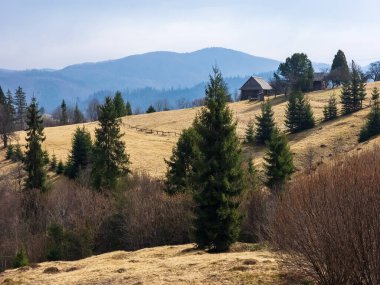 Ormandaki dağlarda küçük bir ev.