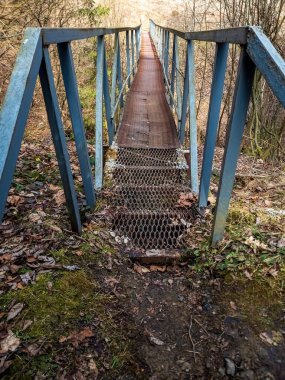 Ormandaki eski bir metal köprünün dikey görüntüsü.