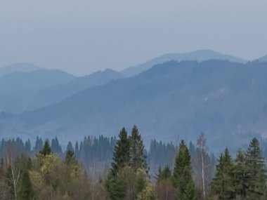 Ağaçlarla kaplı bir dağ sırasının yüksek açılı görüntüsü
