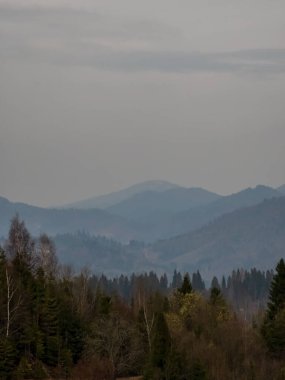 Sabah dağlarda güzel bir manzara.