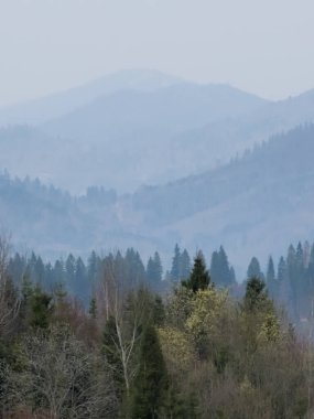 Dağların güzel manzarası
