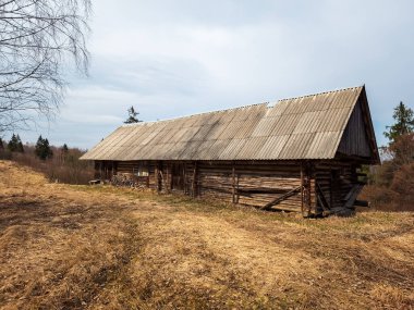 Ormanda terk edilmiş eski ahşap bir ev.