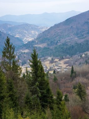 Karpatlar 'daki köye bakın.
