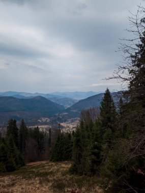Ormandaki dağın güzel bir görüntüsü.