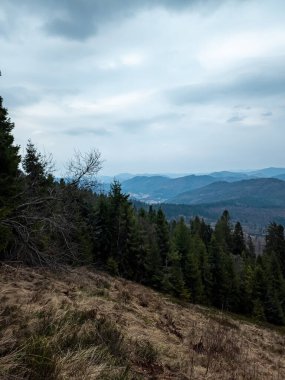 Karpatlar 'daki bir ormandan Karpat Dağları' nın manzarası