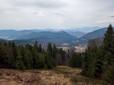Güneşli bir bahar gününde Ukrayna Karpatlarının güzel dağ manzarası.