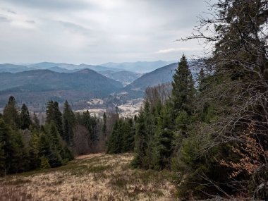 Ağaçlar ve dağlarla kaplı dağ manzarası