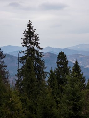 Doğanın güzel manzarası