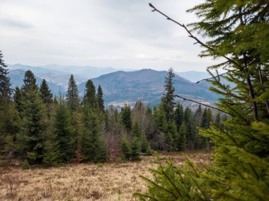 Karpat Dağları 'ndaki güzel dağ manzarası. Ağaçlı sonbahar ormanı