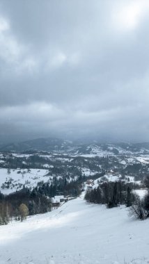 Karla kaplı ağaçlarla kaplı kış manzarası
