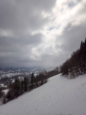 Karpat Dağları 'ndaki kış manzarası