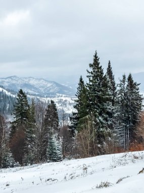 Kış dağ orman manzara