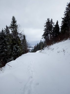 Doğanın güzel manzarası