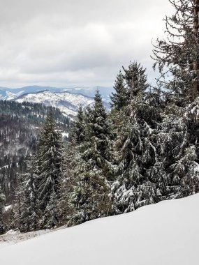 Dağlardaki güzel kış manzarası
