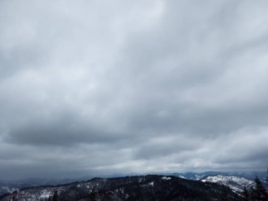 Karla kaplı ağaçlarla kaplı kış manzarası