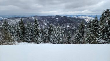 Dağların güzel manzarası