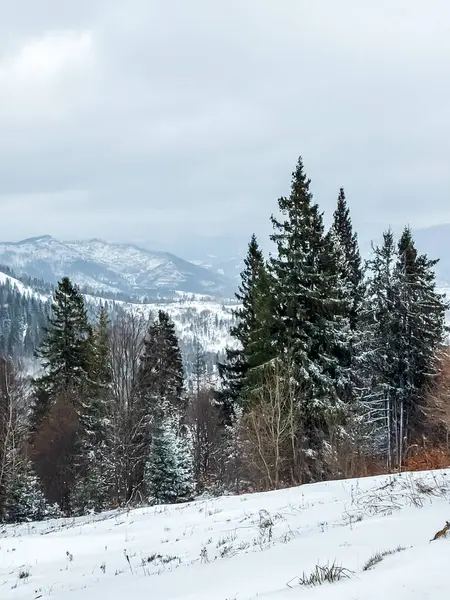 Kış dağ orman manzara