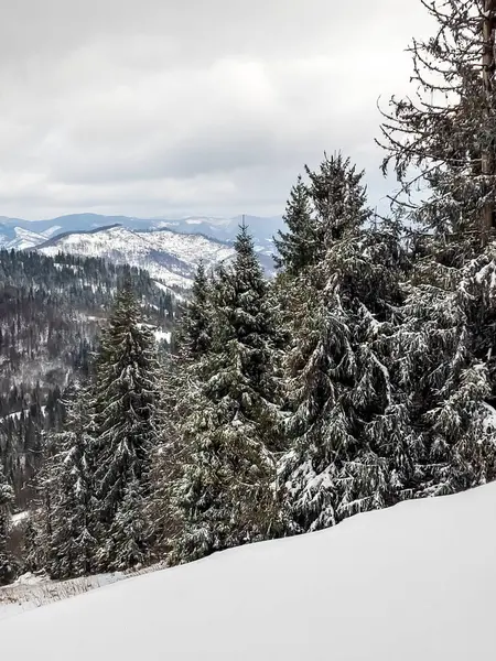 Dağlardaki güzel kış manzarası