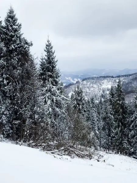 Karda dağ yolu olan kış manzarası