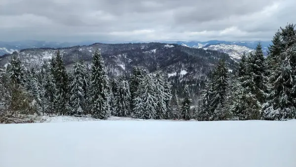Dağların güzel manzarası