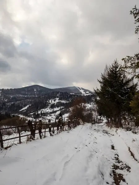 Ukrayna 'da bir dağ köyünün kış manzarası