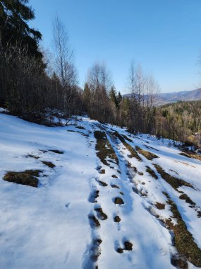 Güzel bir kar görüntüsü - ormandaki tepeli dağ