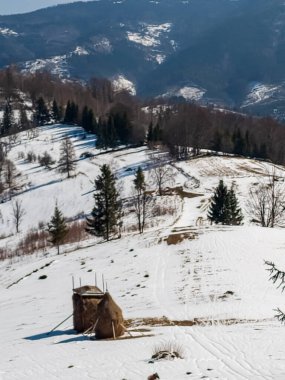 winter landscape in the ukrainian carpathians