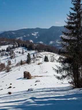 Kış dağ ormanlarıyla kaplı manzara