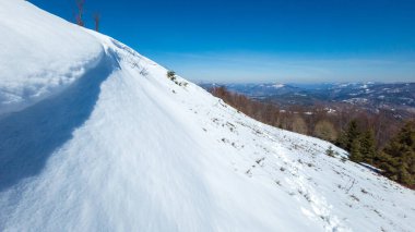 Karla kaplı ağaçlarla kaplı güzel kış manzarası
