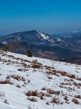 Vitosha Dağı Kış manzarası, Bulgaristan