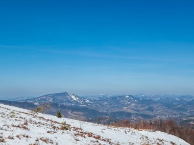 Kışın karla kaplı ağaçlarla kaplı manzara