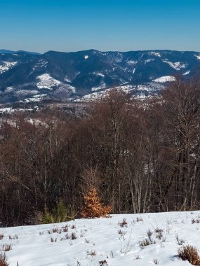 güneşli bir günde güzel kış manzarası