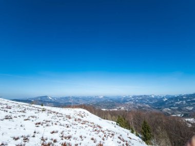 Karla kaplı ağaçlarla kaplı güzel kış manzarası