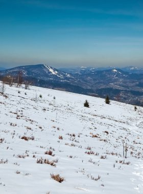 Karla kaplı ağaçlarla kaplı güzel kış manzarası