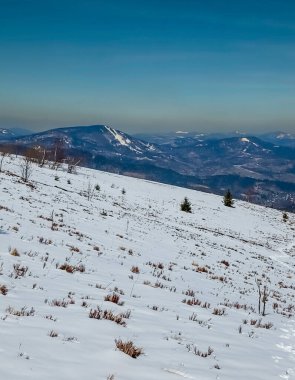 Güneşli bir günde karla kaplı güzel kış manzarası tepeler ve ağaçlar