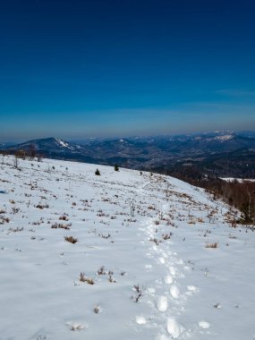 Kış manzarası karla kaplı tepeler