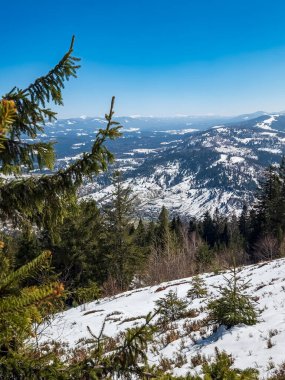 güzel manzara kış orman