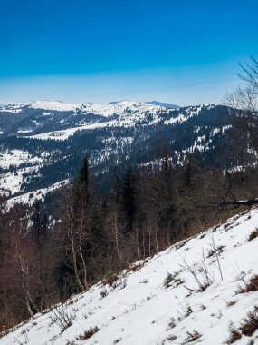 Kışın Karpat Dağları 'nda dağın güzel bir görüntüsü.