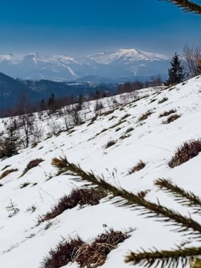 Dağlarda kış manzarası, karlar ve ağaçlarla kaplı.