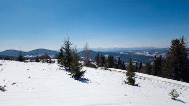 güzel kış manzara arka plan üzerinde