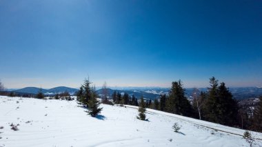 Ukraynalı Karpatların güzel kış manzarası