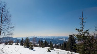 Kış aylarında Ukrayna Karpatlar