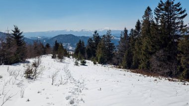 Vitosha Dağı 'ndan kış manzarası, Sofya Şehri Bölgesi, İspanya