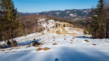 Ukrayna 'daki Karpatlar' ın güzel kış manzarası.