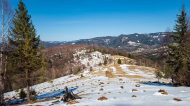 Ukraynalı Karpatların güzel manzarası