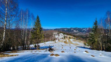 Karpatya dağlarındaki karlı bir dağ manzarasının güzel bir görüntüsü, Romanya