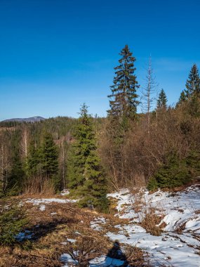 Dağların güzel manzarası