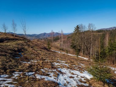 Güzel bir ormanın dağ manzarası.