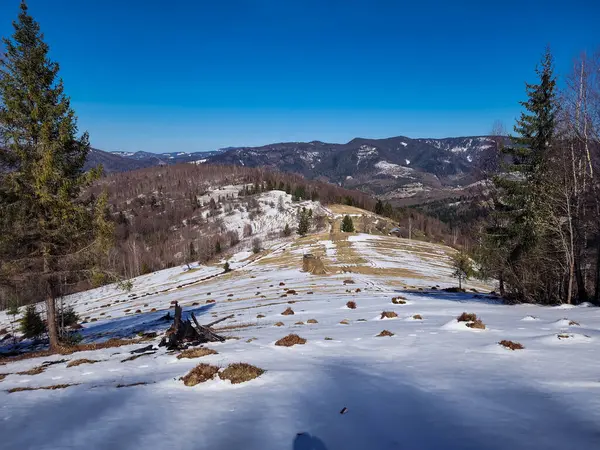Karla kaplı ağaçlarla kaplı kış manzarası