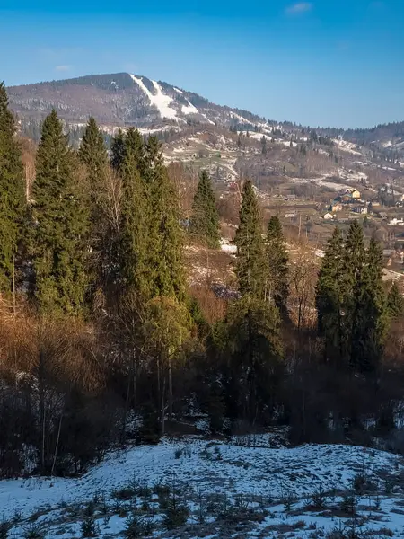 Arkasında karla kaplı ağaçlar, orman ve dağlar olan kış manzarası